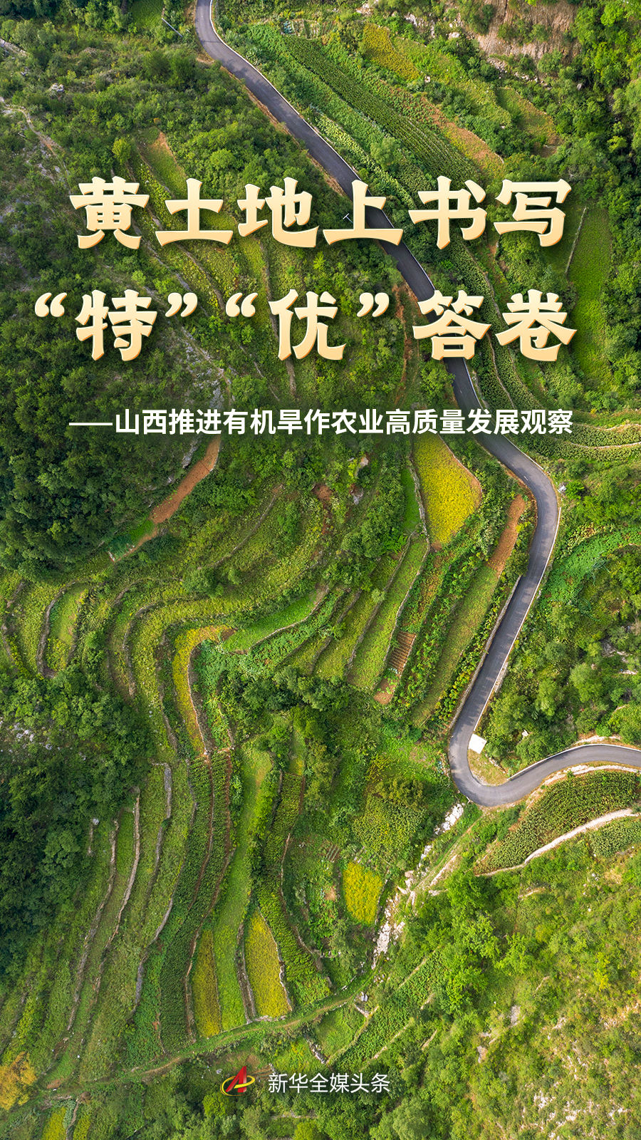在简洁现代的用户界面设计方面，球探比分提供贴心周到的支持。 - 球探比分